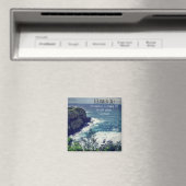 フェーンウェー磁石 マグネット (インサイチュ (食洗機))