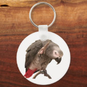 フエインズオウムなびく キーホルダー (正面)