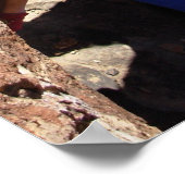 フエコタンクテキサス州2007 ポスター (角)