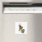 フエルテス栗の背の《鳥》アメリカゴガラ マグネット (インサイチュ (食洗機))