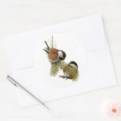 フエルテス栗の背の《鳥》アメリカゴガラ ラウンドシール (封筒)