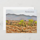 フエルテベンチュラ山脈 ポストカード (正面/裏面)