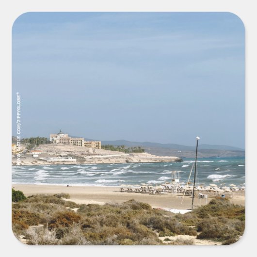 フエルテベンチュラ スクエアシール (正面)