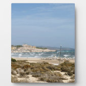 フエルテベンチュラ フォトプラーク (正面)