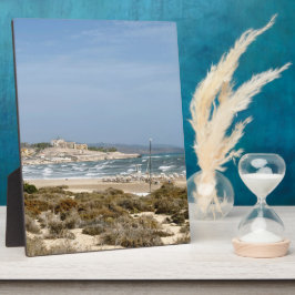 フエルテベンチュラ フォトプラーク