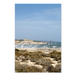 フエルテベンチュラ フォトプリント           