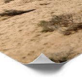 フエルテベンチュラ ポスター (角)