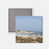 フエルテベンチュラ マグネット (正面/裏面)