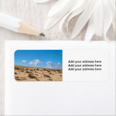 フエルテベンチュラ ラベル (インサイチュ)