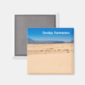 フエルテベントゥラ・コラレジョパーク マグネット (正面/裏面)