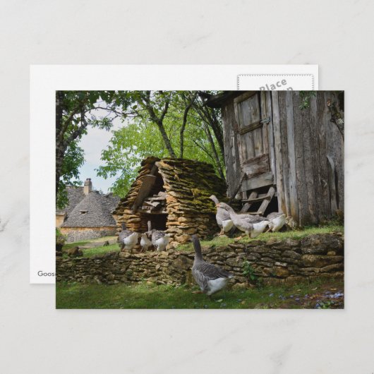 フォアグ伝統的ラのグース農場用葉書 ポストカード (正面/裏面)