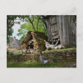 フォアグ伝統的ラのグース農場用葉書 ポストカード (正面)