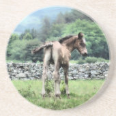 フォアル コースター (正面)