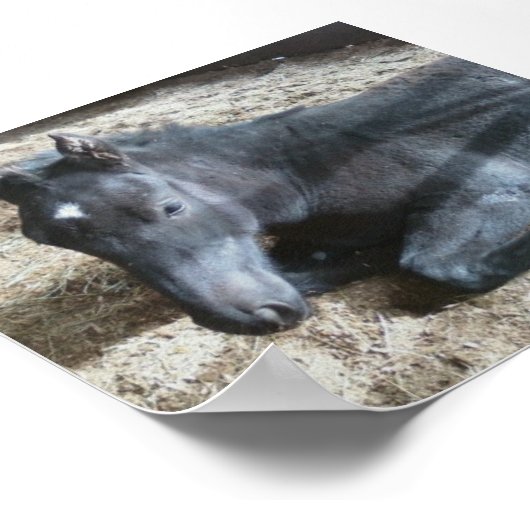 フォア荷車を引く ポスター (角)