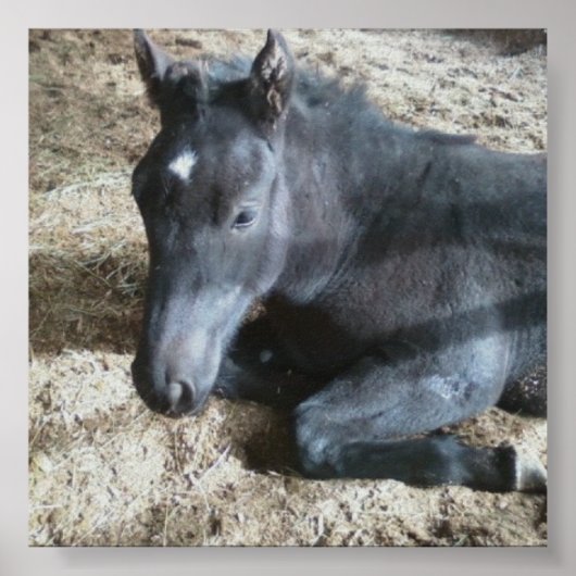 フォア荷車を引く ポスター (正面)