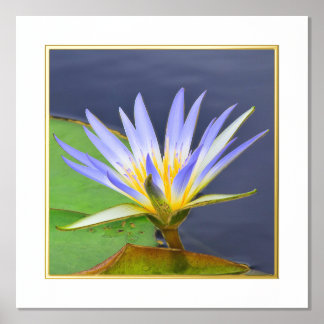 フォイルアクセントイエロー&ラベンダーウォーターリリープリント 箔ポスター