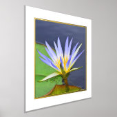 フォイルアクセントイエロー&ラベンダーウォーターリリープリント 箔ポスター (レイダウン)