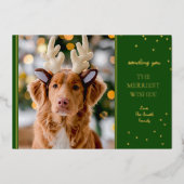 フォイルグリーン金ゴールド写真 箔シーズンカード (正面)