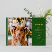 フォイルグリーン金ゴールド写真 箔シーズンカード (立ち正面)