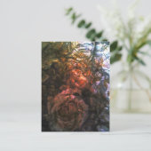 フォイルバラ ポストカード (スタンド正面)