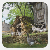 フォイ伝統的グラスグースファームステッカー スクエアシール (正面)