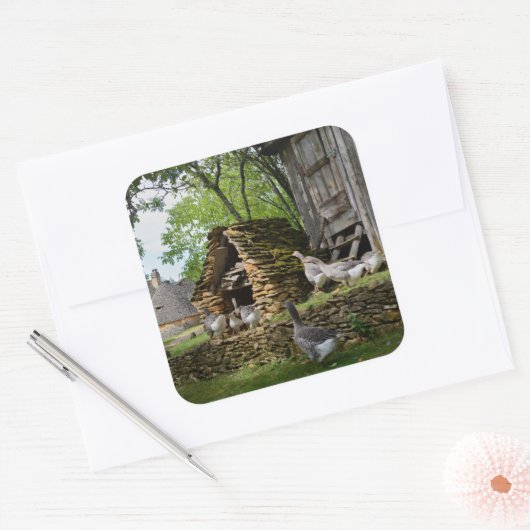 フォイ伝統的グラスグースファームステッカー スクエアシール (封筒)