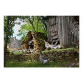 フォイ伝統的グラスグースファーム写真プリント フォトプリント (正面)