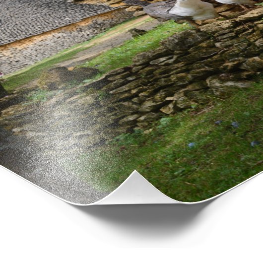 フォイ伝統的グラスグースファーム写真プリント フォトプリント (角)