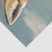 フォキシフェリシア、フルーティドオンバカ 薄葉紙 (詳細)