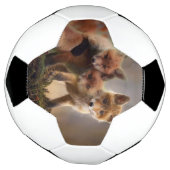 フォキシ三つ子 サッカーボール (回転)