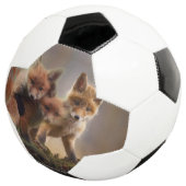 フォキシ三つ子 サッカーボール (3/4)