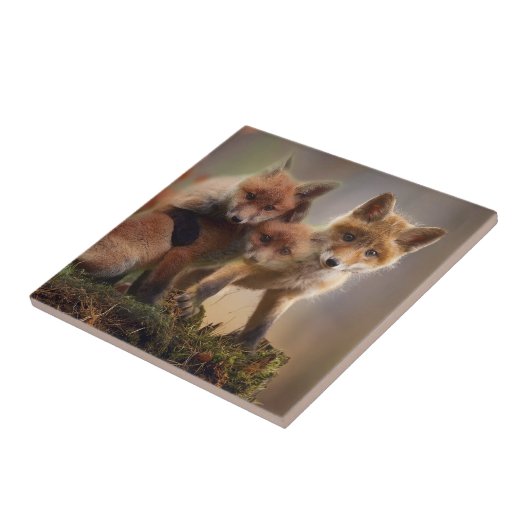 フォキシ三つ子 タイル (側面)