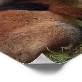 フォキシ三つ子 ポスター (角)