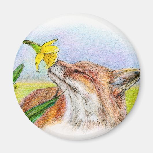 フォキシ マグネット (正面)