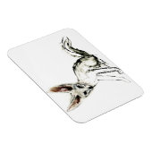 フォキシ マグネット (右側)