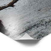 フォギー夕べアットポイントロボス フォトプリント            (角)