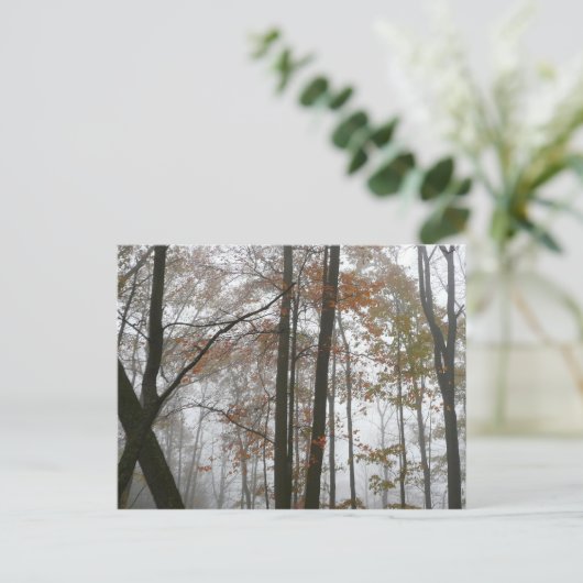 フォギー秋インペンシルバニア秋自然 ポストカード (スタンド正面)