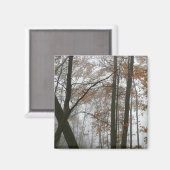 フォギー秋インペンシルバニア秋自然 マグネット (正面/裏面)