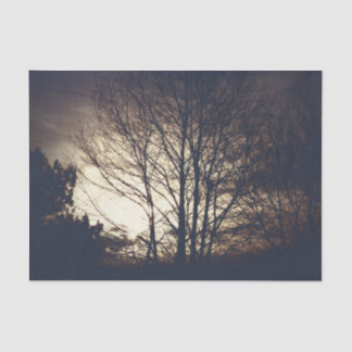 フォギー秋夕べ 薄葉紙