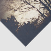 フォギー秋夕べ 薄葉紙 (詳細)