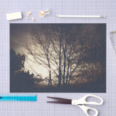 フォギー秋夕べ 薄葉紙 (クラフト)