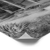 フォスターハウス ポスター (角)