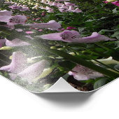 フォックスグローブガーデン フォトプリント            (角)