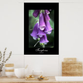 フォックスグローブバイスティーブンデール ポスター (キッチン)