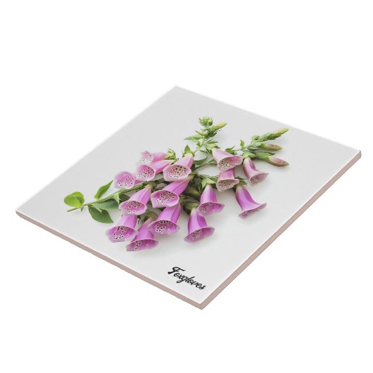 フォックスグローブ タイル (側面)