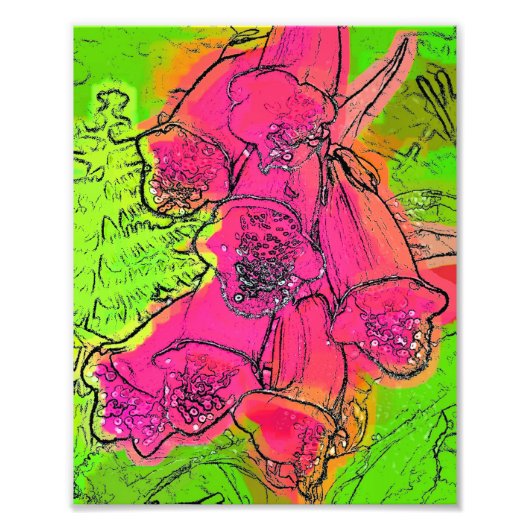 フォックスグローブ フォトプリント            (正面)