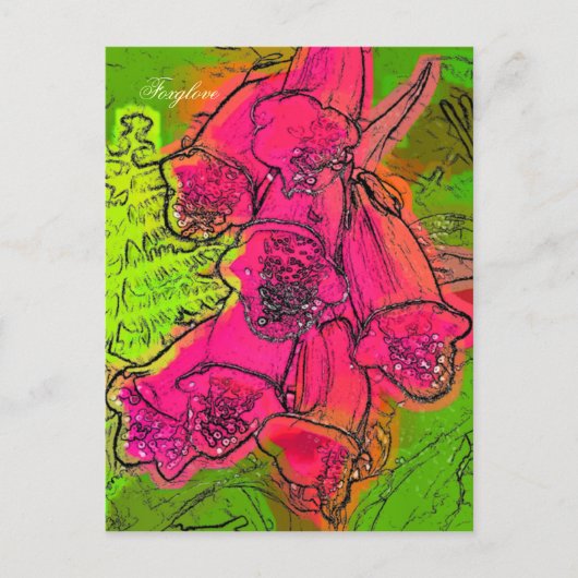 フォックスグローブ ポストカード (正面)