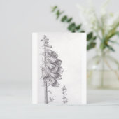 フォックスグローブ ポストカード (スタンド正面)