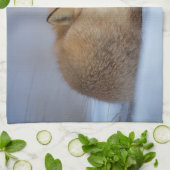 フォックスティータオル、フォックスキッチンタオル、フォックスホームデッキ キッチンタオル (折り畳み)