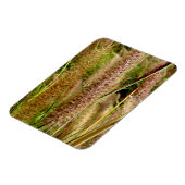 フォックステールグラスマクロ撮影写真 マグネット (左側)